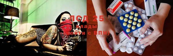 стаф Абинск