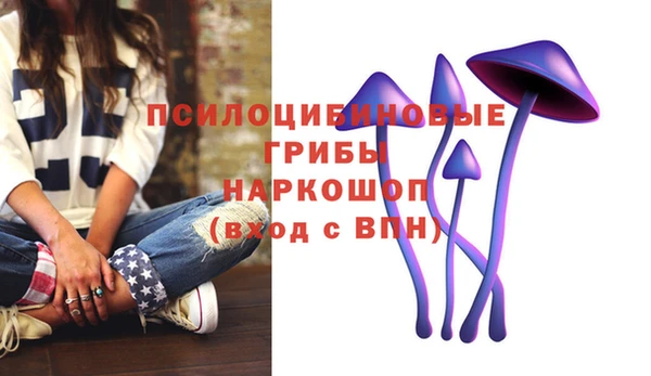 стаф Абдулино